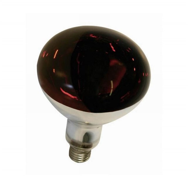 Product image 1 of Eider Warmtelamp 150w Rood