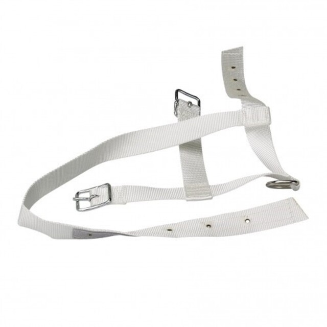 Product image 1 of Nylon Halster met Keelband - Koe