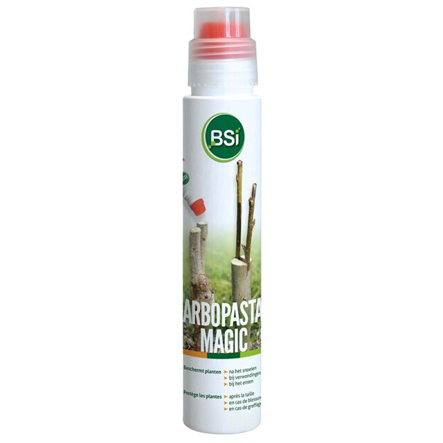 Product image 1 of BSI Arbopasta Magic 250 Gram