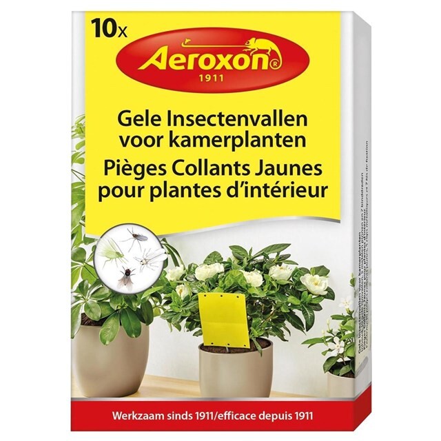 Product image 1 of Aeroxon Insectenval Voor Kamerplant 10 Stuks