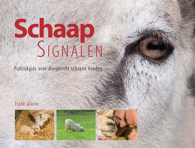 Product image 1 of Praktijkgids voor diergericht schapen houden