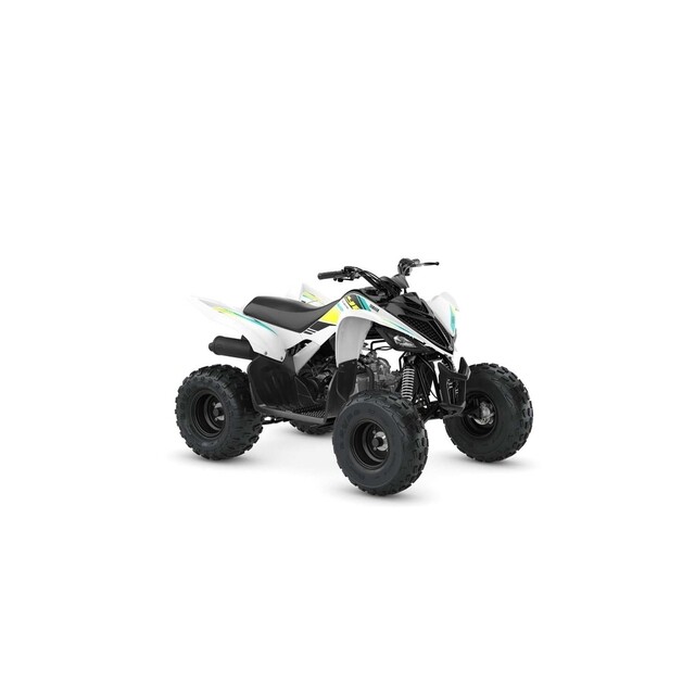 Product image 1 of Yamaha YFM90R White